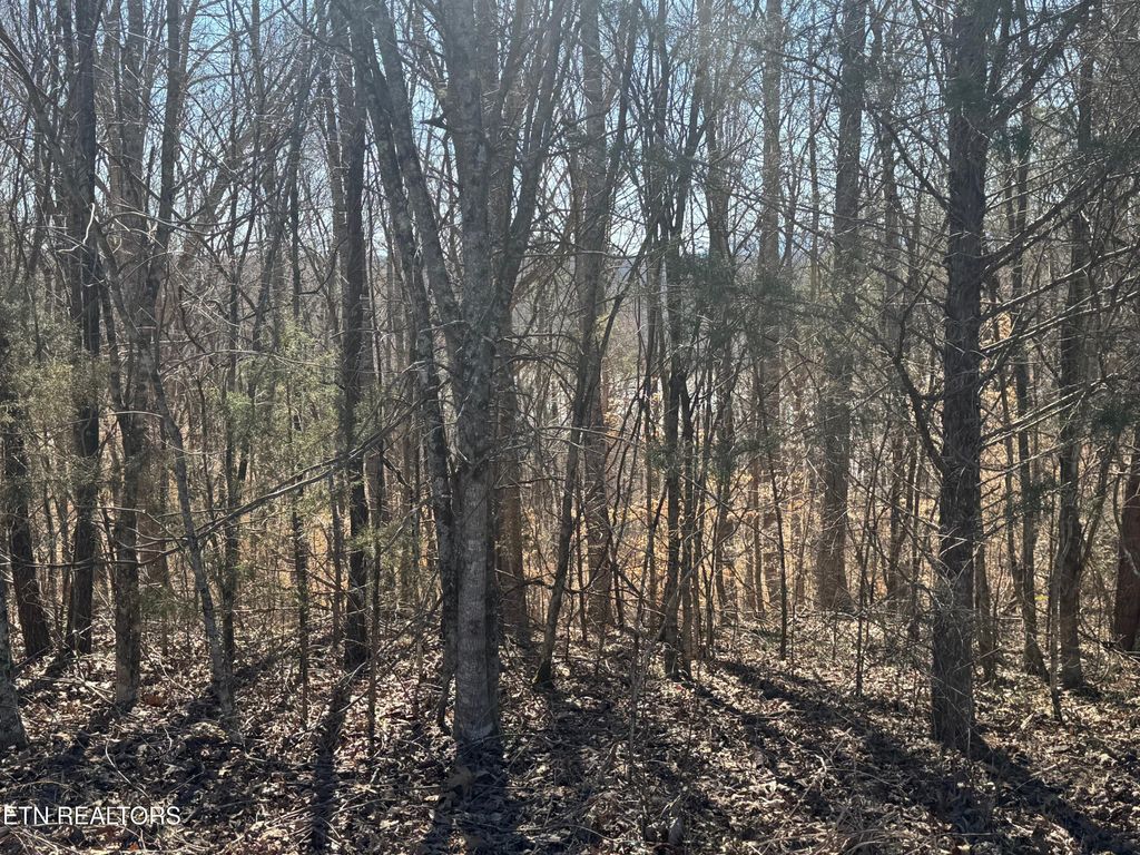 Photo of 71 Saddle Ridge Drive, Speedwell, TN 37870 (MLS # 1295875)