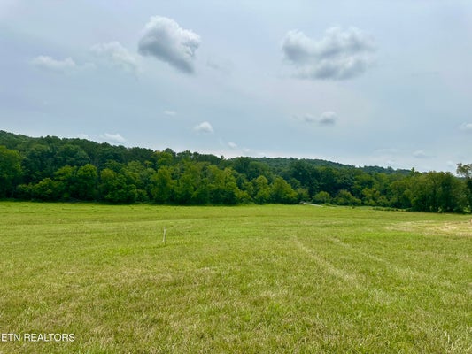 137 RUTLEDGE PIKE, BLAINE, TN 37709 - Image 5108604bca2faf691ddb94ba6ce3b03a/3530277662