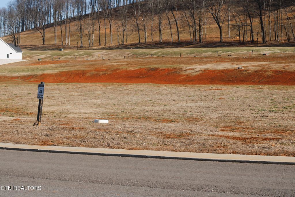 Photo of 546 Black Bear Circle, Loudon, TN 37774 (MLS # 1329688)