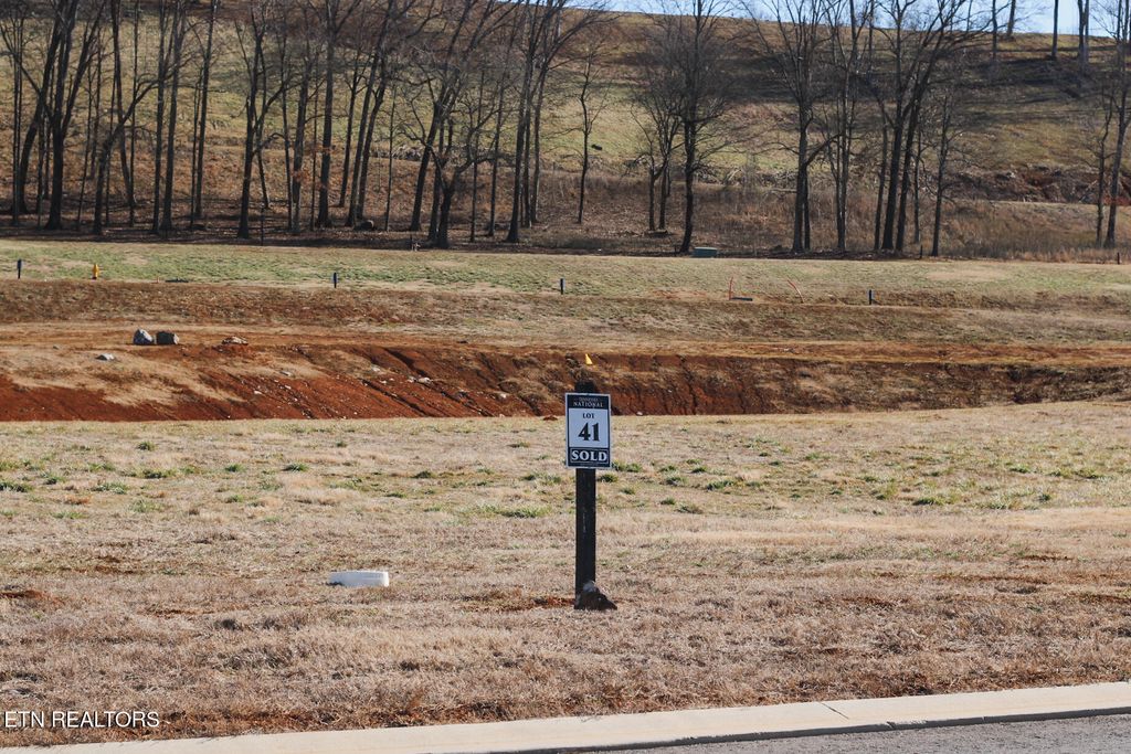 Photo of 546 Black Bear Circle, Loudon, TN 37774 (MLS # 1329688)