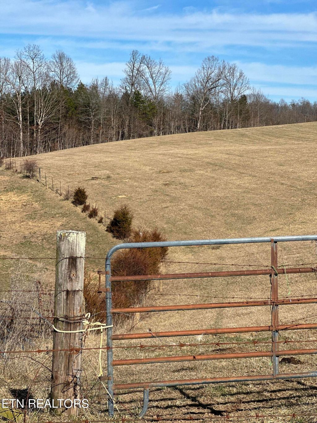 Photo of 00 Baldwin Hill 131 acres Rd, New Tazewell, TN 37825 (MLS # 1252314)