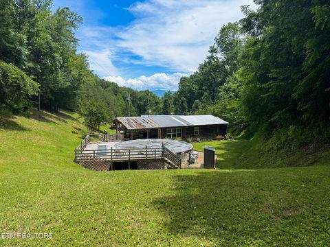 Tiny photo for 975 Keener Rd, Cosby, TN 37722 (MLS # 1346183)