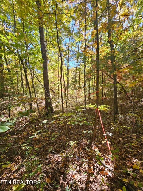 Tiny photo for 5906 Omega Drive, Tallassee, TN 37878 (MLS # 1360358)
