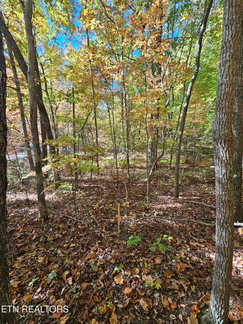 Tiny photo for 5906 Omega Drive, Tallassee, TN 37878 (MLS # 1360358)