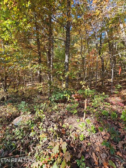 Tiny photo for 5906 Omega Drive, Tallassee, TN 37878 (MLS # 1360358)