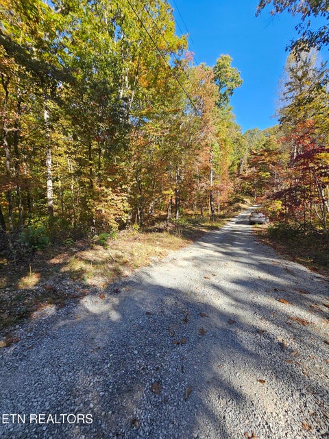 Photo of 5906 Omega Drive, Tallassee, TN 37878 (MLS # 1360358)