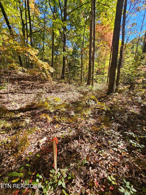Tiny photo for 5906 Omega Drive, Tallassee, TN 37878 (MLS # 1360358)