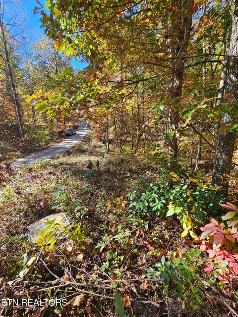Tiny photo for 5906 Omega Drive, Tallassee, TN 37878 (MLS # 1360358)