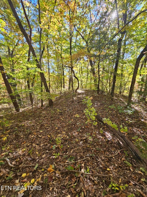 Tiny photo for 5906 Omega Drive, Tallassee, TN 37878 (MLS # 1360358)