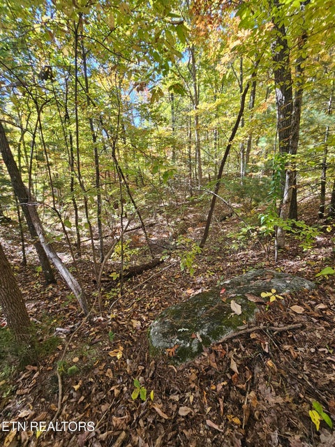 Tiny photo for 5906 Omega Drive, Tallassee, TN 37878 (MLS # 1360358)