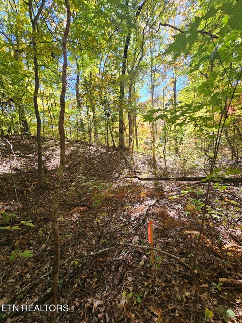 Tiny photo for 5906 Omega Drive, Tallassee, TN 37878 (MLS # 1360358)