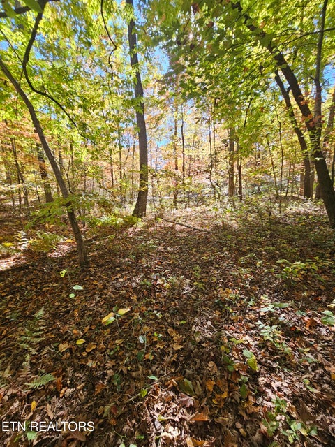 Tiny photo for 5906 Omega Drive, Tallassee, TN 37878 (MLS # 1360358)