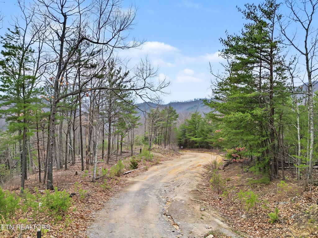 Photo of 2 John Sevier Drive, Sevierville, TN 37862 (MLS # 1324923)