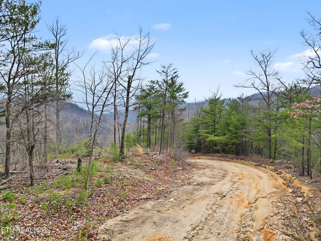 Photo of 2 John Sevier Drive, Sevierville, TN 37862 (MLS # 1324923)