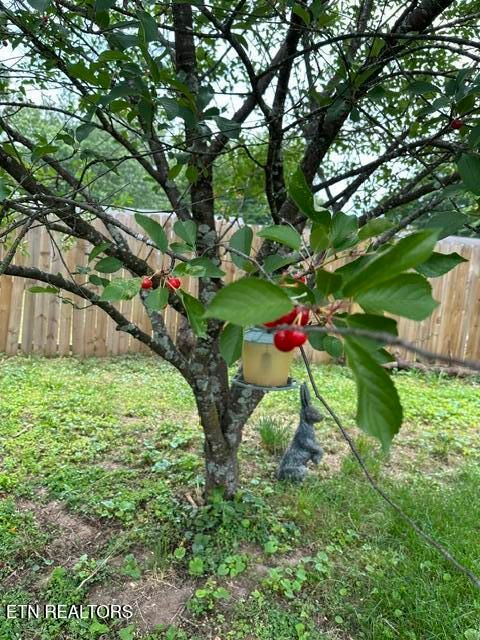 Tiny photo for 2317 Roundtree Rd, Knoxville, TN 37923 (MLS # 1341341)