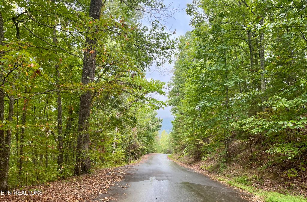 Photo of 26432647 Sawmill Branch Drive, Sevierville, TN 37862 (MLS # 1316595)