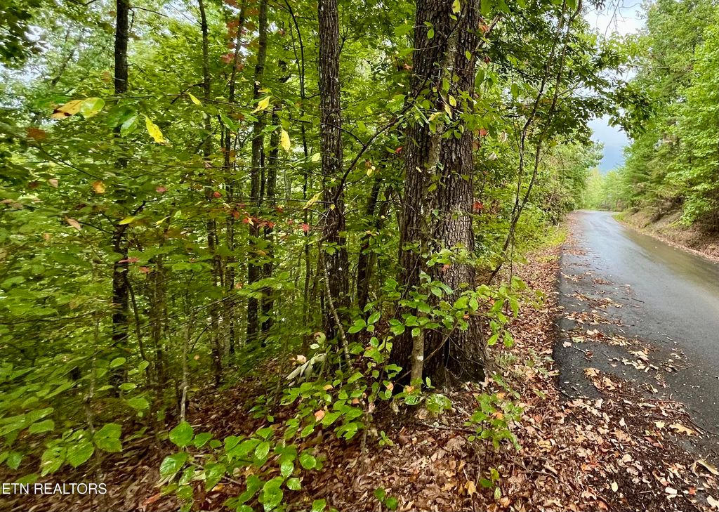 Photo of 26432647 Sawmill Branch Drive, Sevierville, TN 37862 (MLS # 1316595)