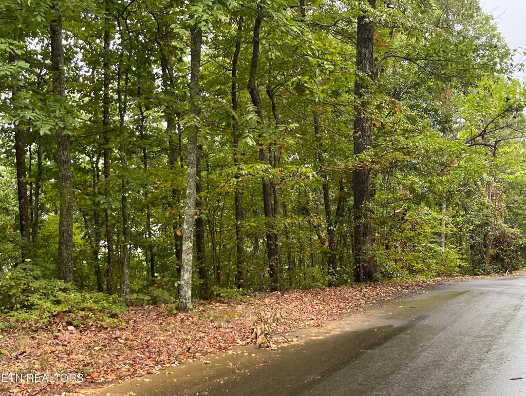 Photo of 26432647 Sawmill Branch Drive, Sevierville, TN 37862 (MLS # 1316595)