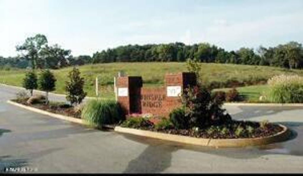 Photo of 0 Shadow Branch Lane, Corryton, TN 37721 (MLS # 1266665)