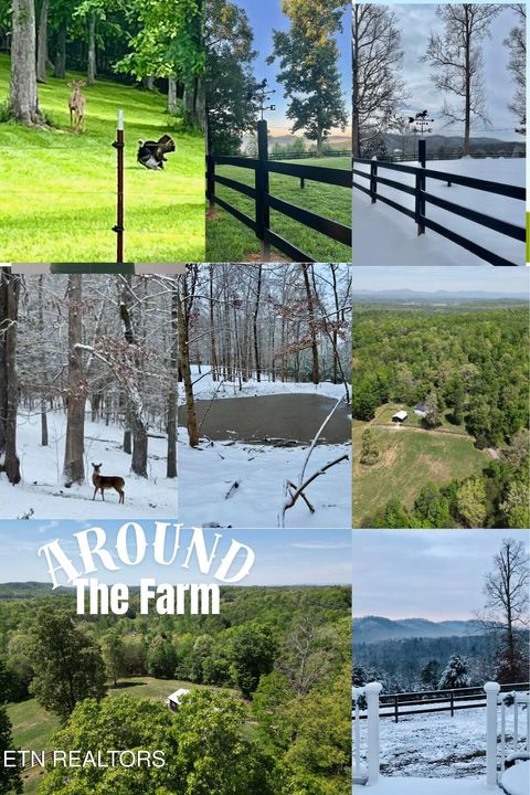 Tiny photo for 105 Speers Rd, Kingston, TN 37763 (MLS # 1338384)