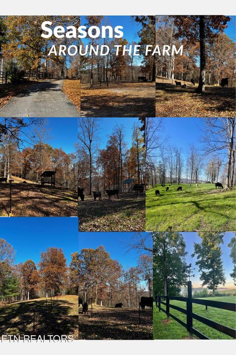 Tiny photo for 105 Speers Rd, Kingston, TN 37763 (MLS # 1338384)