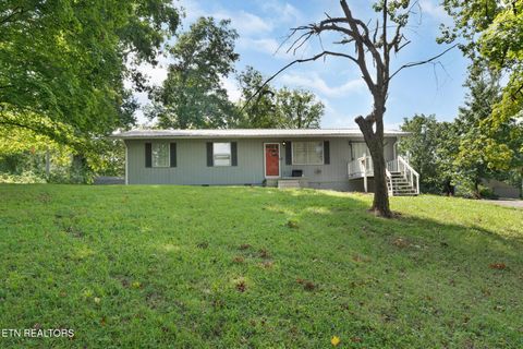 Photo of 133 Bunch Lane, Clinton, TN 37716 (MLS # 1337370)