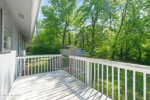 Tiny photo for 133 Bunch Lane, Clinton, TN 37716 (MLS # 1337370)
