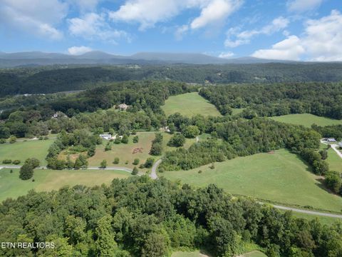 Tiny photo for 133 Bunch Lane, Clinton, TN 37716 (MLS # 1337370)