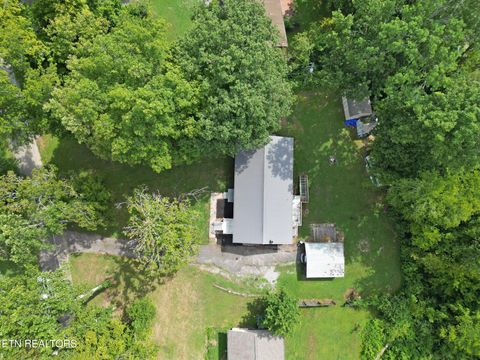 Tiny photo for 133 Bunch Lane, Clinton, TN 37716 (MLS # 1337370)