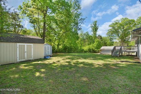 Tiny photo for 133 Bunch Lane, Clinton, TN 37716 (MLS # 1337370)