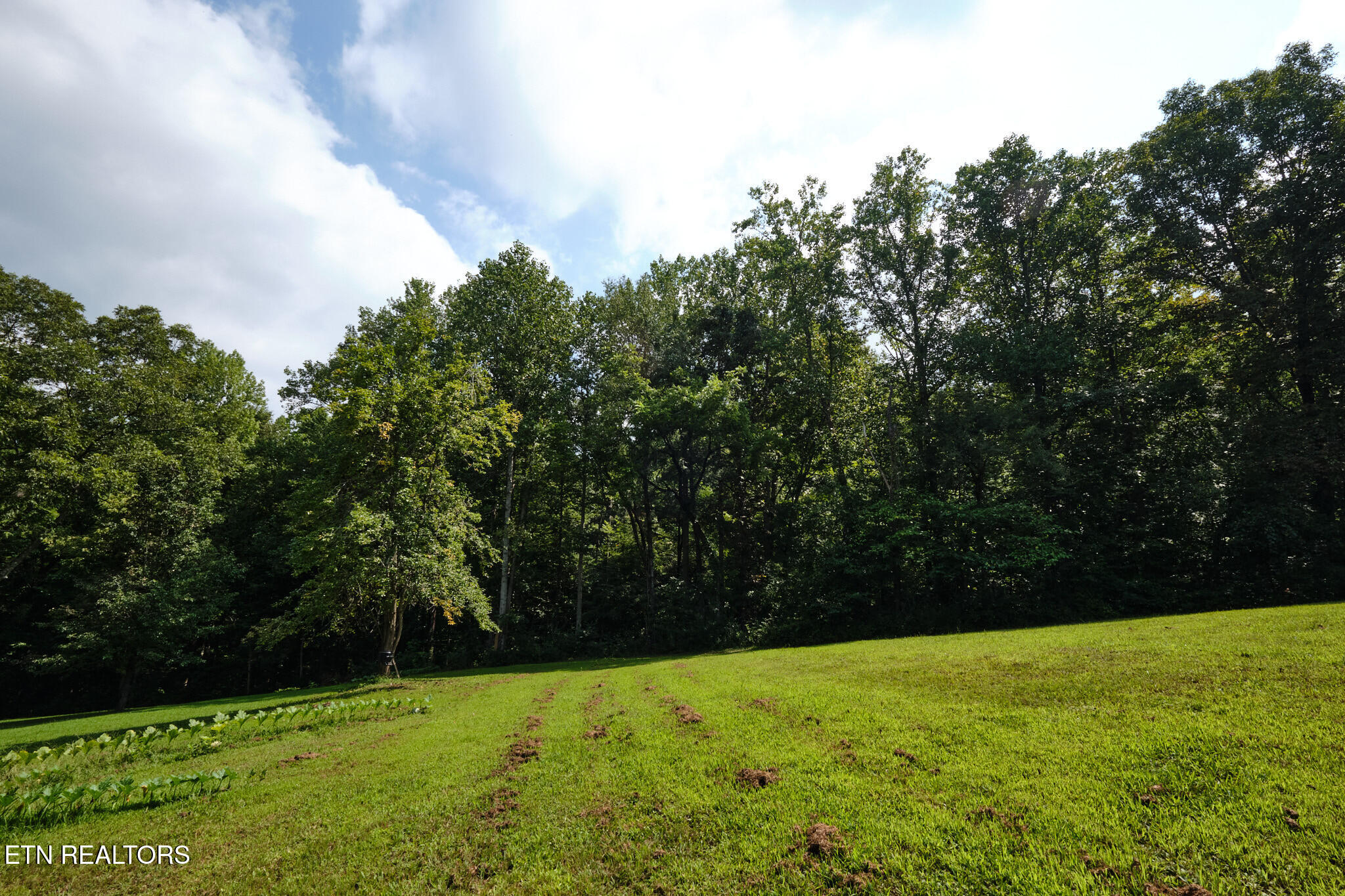 3824 Sugar Grove Valley Rd