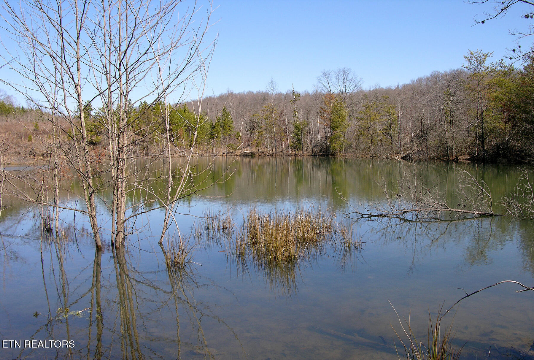 Shady Grove Rd