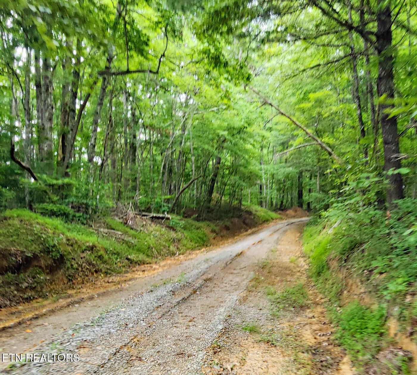 Shady Grove Rd