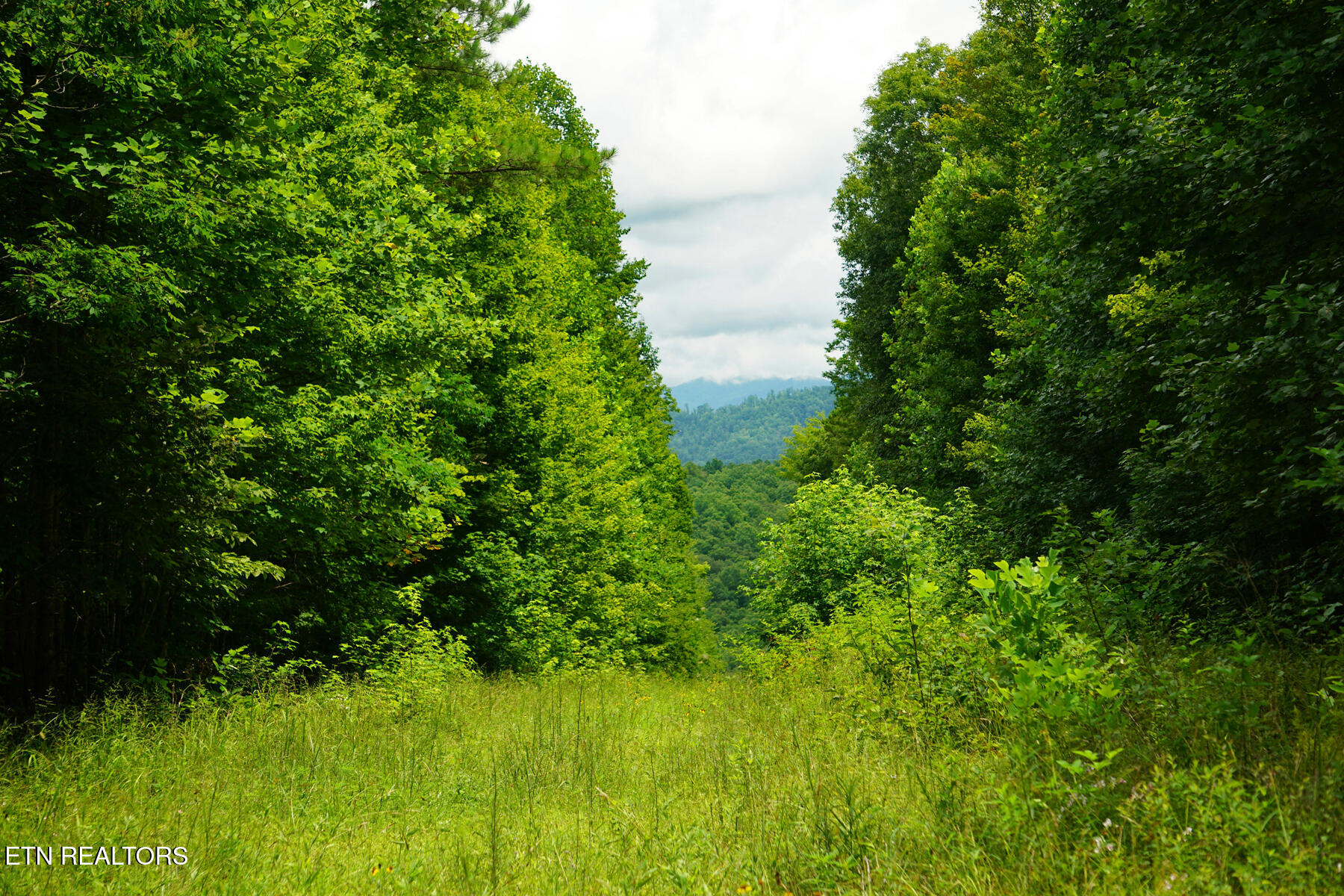 Shady Grove Rd