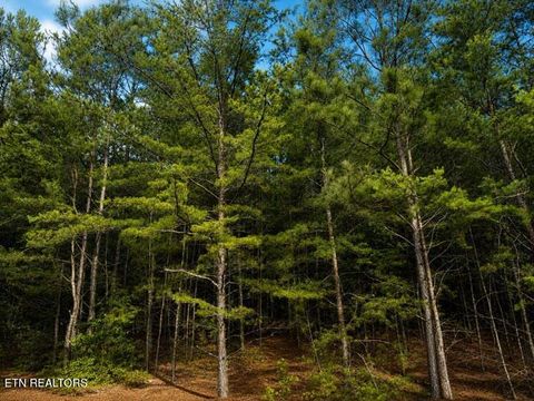 Photo of 12 County Road 754, Riceville, TN 37370 (MLS # 1342798)