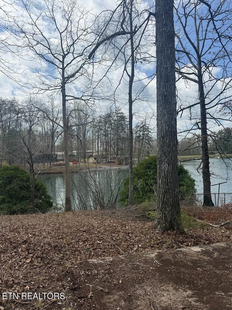 231 Crockett Lake Drive