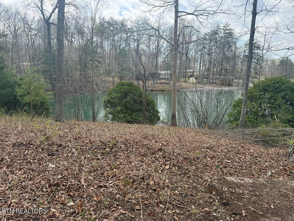 231 Crockett Lake Drive