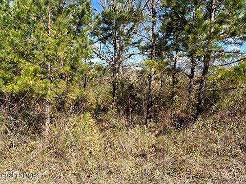 Tiny photo for Holt Spur Drive, Jamestown, TN 38556 (MLS # 1324984)