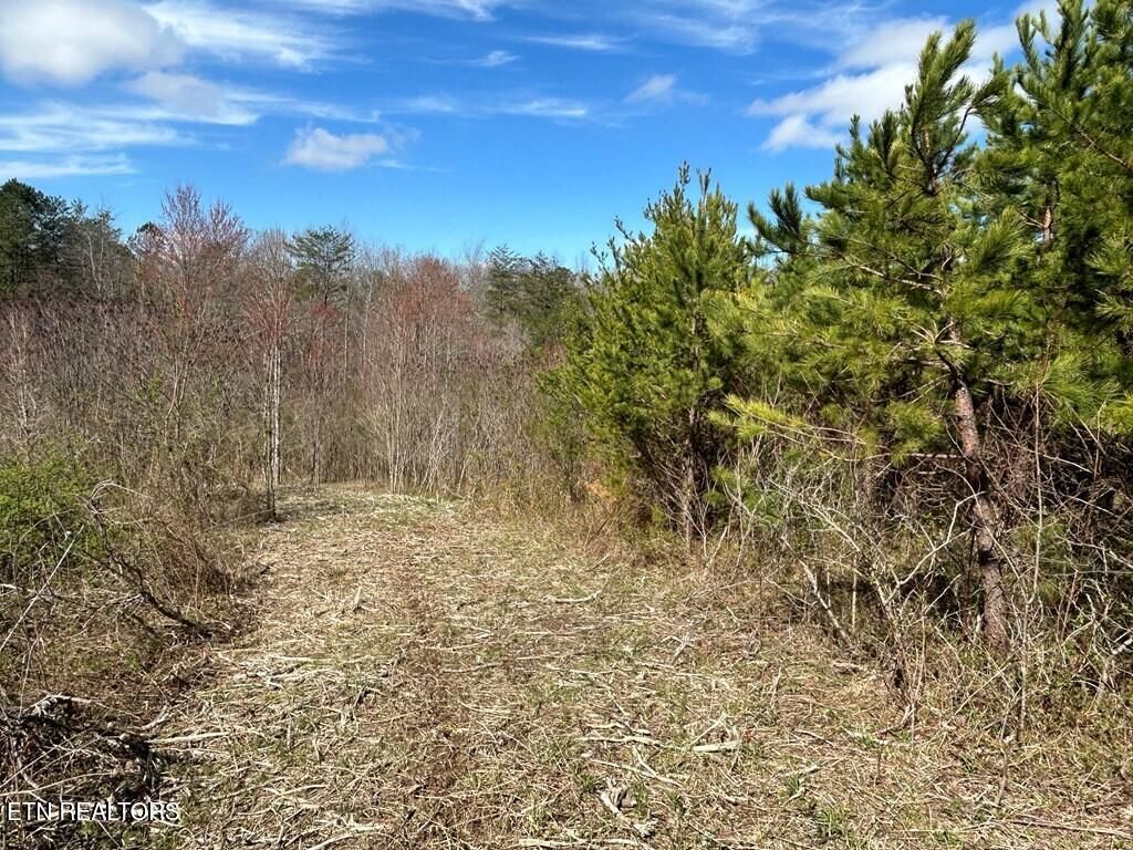 Photo of Holt Spur Drive, Jamestown, TN 38556 (MLS # 1324984)