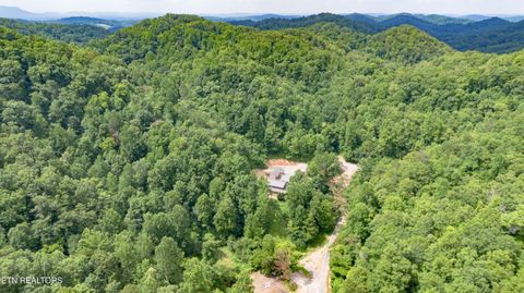 Tiny photo for 700 Damewood Hollow Rd, Luttrell, TN 37779 (MLS # 1339175)