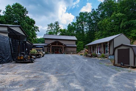Tiny photo for 700 Damewood Hollow Rd, Luttrell, TN 37779 (MLS # 1339175)