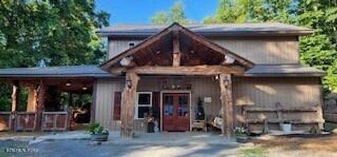 Tiny photo for 700 Damewood Hollow Rd, Luttrell, TN 37779 (MLS # 1339175)