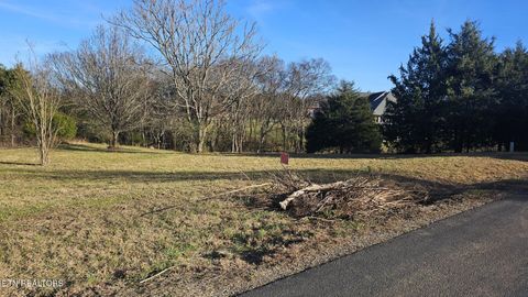 Photo of Itawa Tr, Vonore, TN 37885 (MLS # 1325405)