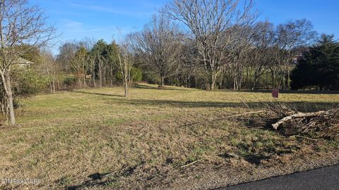 Tiny photo for Itawa Tr, Vonore, TN 37885 (MLS # 1325405)