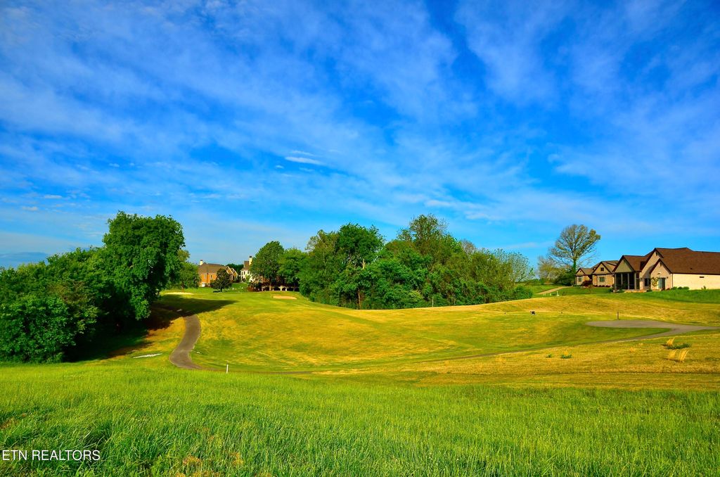 Photo of 185 Killdeer Drive, Vonore, TN 37885 (MLS # 1257907)