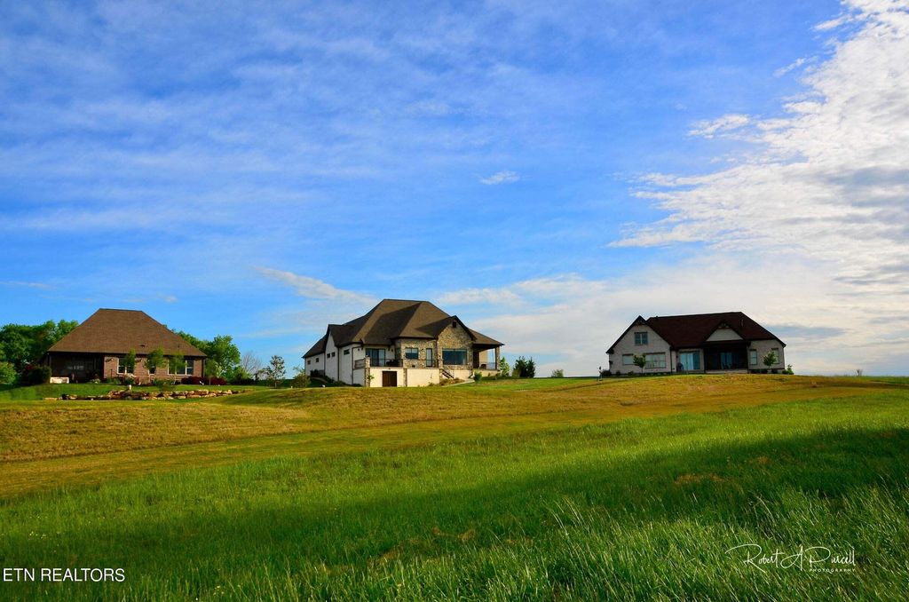 Photo of 185 Killdeer Drive, Vonore, TN 37885 (MLS # 1257907)