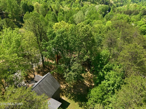 Tiny photo for 3513 Country Pines Way, Sevierville, TN 37876 (MLS # 1359345)