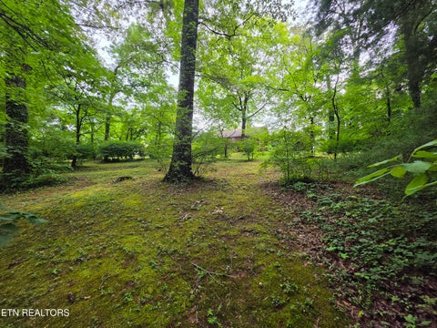 Tiny photo for 1211 Craig Rd, Knoxville, TN 37919 (MLS # 1348171)
