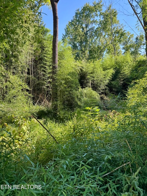 Photo of S Lenoir Ave, Rockwood, TN 37854 (MLS # 1355385)