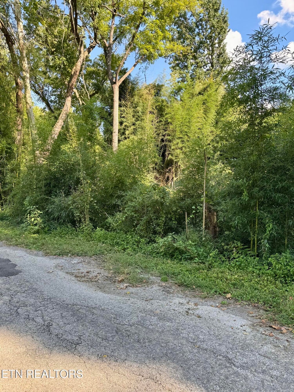 Photo of S Lenoir Ave, Rockwood, TN 37854 (MLS # 1355385)